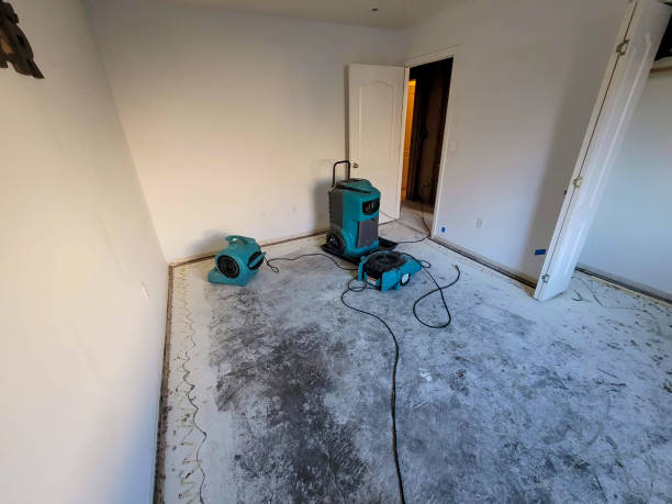 Best Water damage restoration mold remediation  in USA